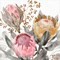Petal Passion IX Soft Boho by Beth Grove 24" x 24" Canvas Wall Art
